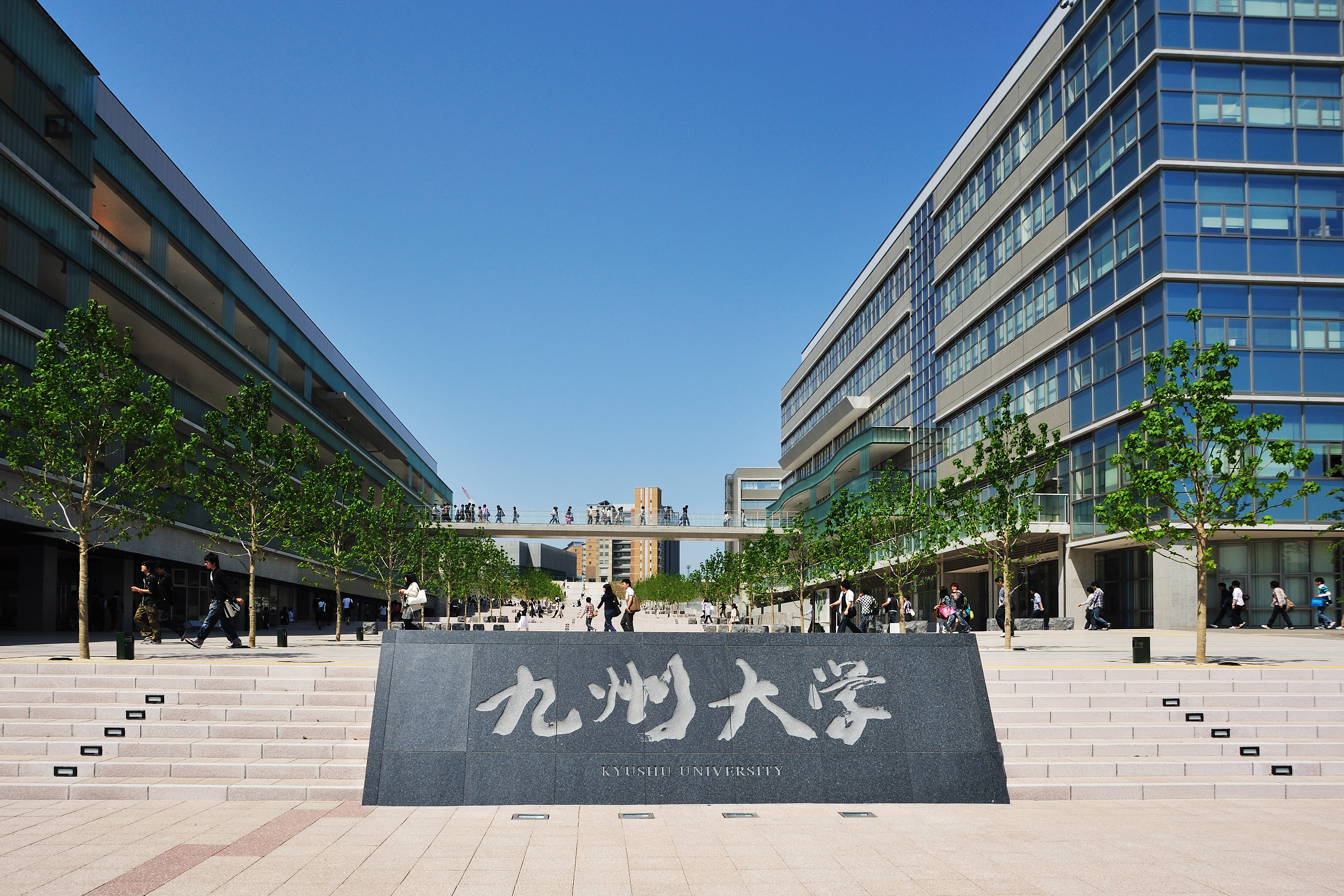 九州大学 | 博多の魅力